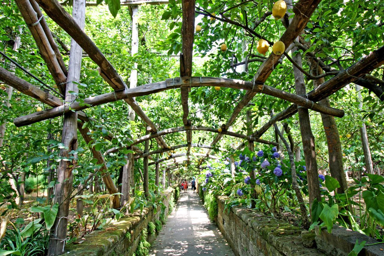 I Giardini Di Cataldo Sorrento Villa Bagian luar foto