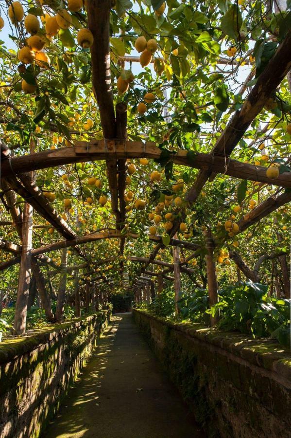 I Giardini Di Cataldo Sorrento Villa Bagian luar foto